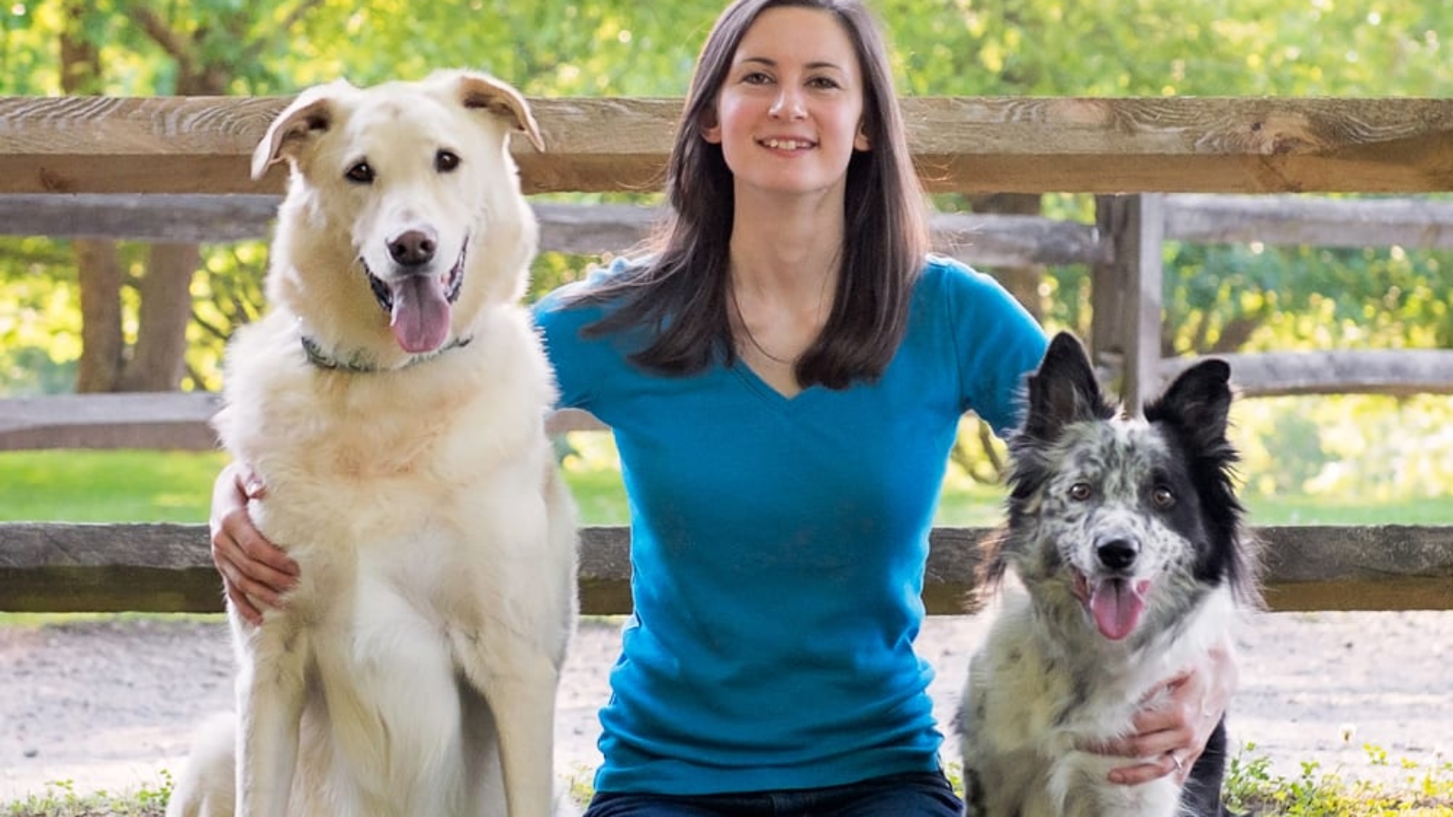 Dog Training Durham, NC | Dog Training Near Me | Always Pawsitive Dog Training