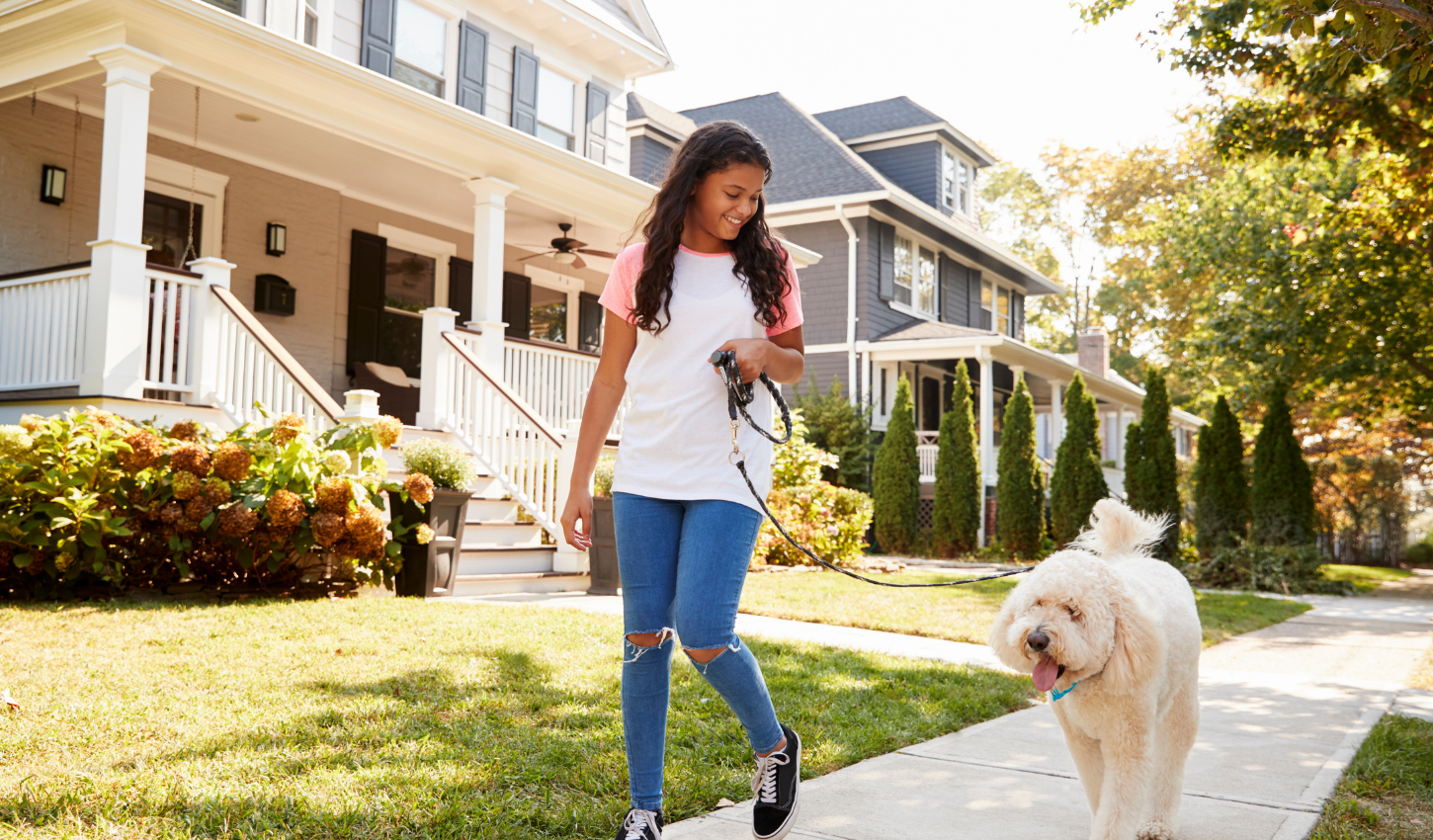 Good Dog Trainers Near Me | Always Pawsitive